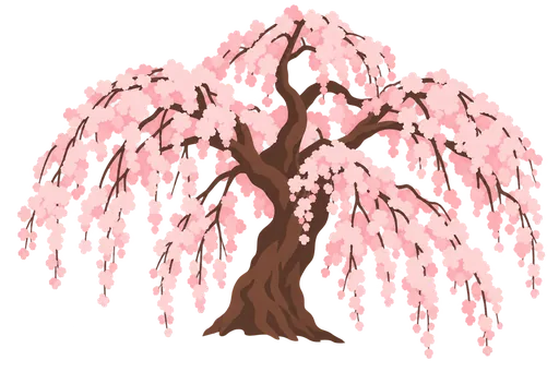 円山公園の祇園しだれ桜
